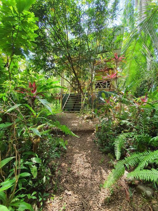 Cabina Gan Eden - Walking Distance From River Portalon ภายนอก รูปภาพ